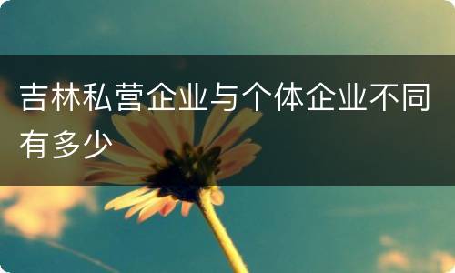 吉林私营企业与个体企业不同有多少