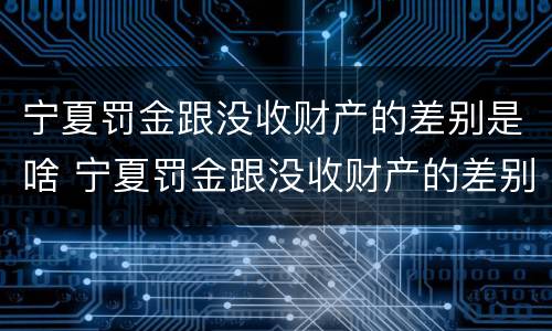 宁夏罚金跟没收财产的差别是啥 宁夏罚金跟没收财产的差别是啥呀