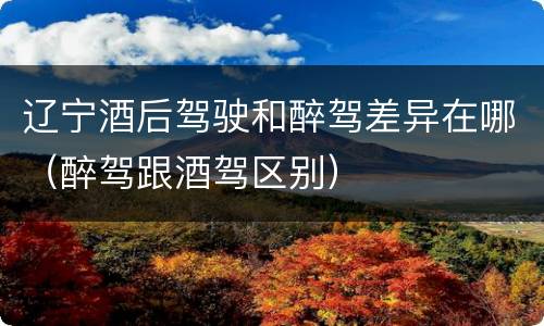 辽宁酒后驾驶和醉驾差异在哪（醉驾跟酒驾区别）