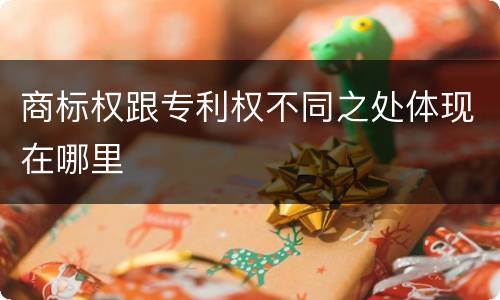 商标权跟专利权不同之处体现在哪里