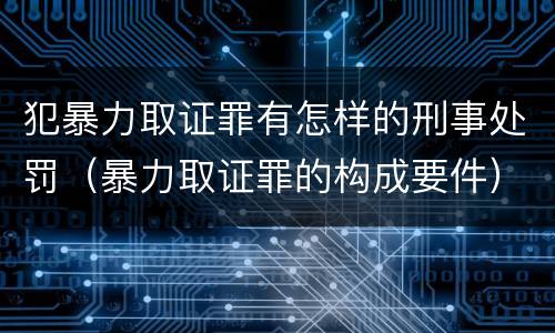 犯暴力取证罪有怎样的刑事处罚（暴力取证罪的构成要件）