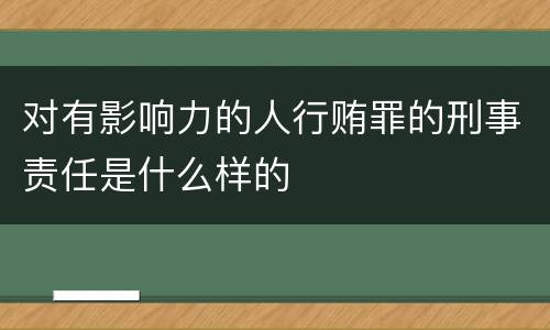 对有影响力的人行贿罪的刑事责任是什么样的