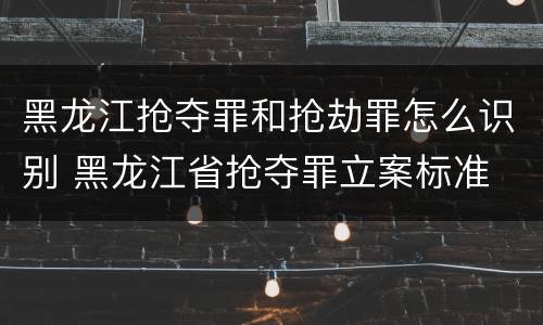 黑龙江抢夺罪和抢劫罪怎么识别 黑龙江省抢夺罪立案标准