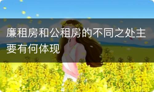 廉租房和公租房的不同之处主要有何体现