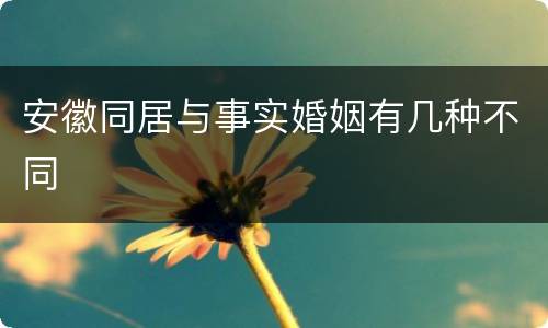 安徽同居与事实婚姻有几种不同