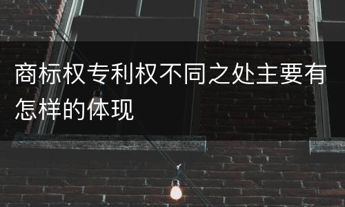 商标权专利权不同之处主要有怎样的体现