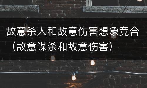 故意杀人和故意伤害想象竞合（故意谋杀和故意伤害）