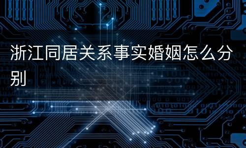 浙江同居关系事实婚姻怎么分别