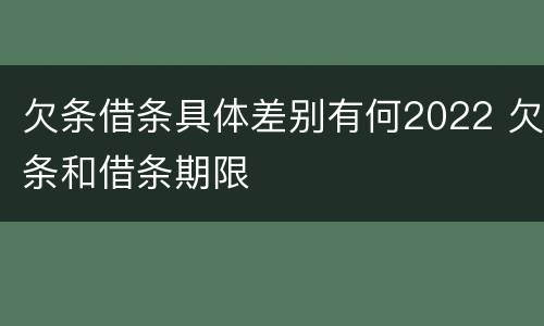 欠条借条具体差别有何2022 欠条和借条期限