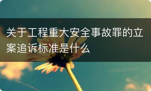 关于工程重大安全事故罪的立案追诉标准是什么