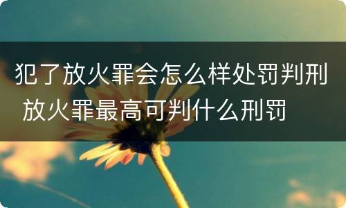 犯了放火罪会怎么样处罚判刑 放火罪最高可判什么刑罚