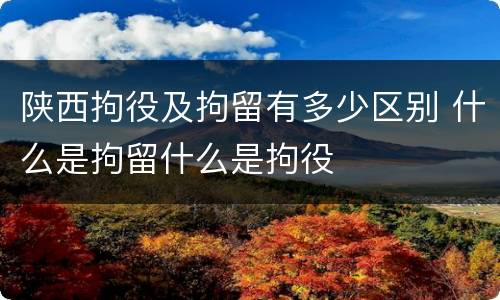 陕西拘役及拘留有多少区别 什么是拘留什么是拘役