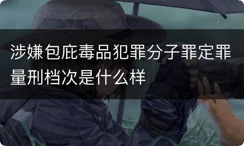 涉嫌包庇毒品犯罪分子罪定罪量刑档次是什么样