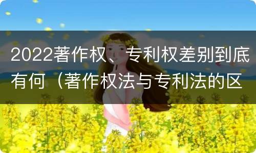2022著作权、专利权差别到底有何（著作权法与专利法的区别）