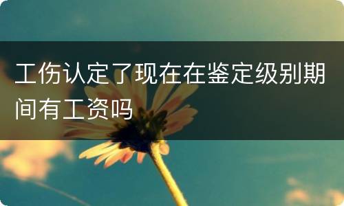 工伤认定了现在在鉴定级别期间有工资吗