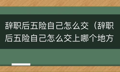 辞职后五险自己怎么交（辞职后五险自己怎么交上哪个地方交）