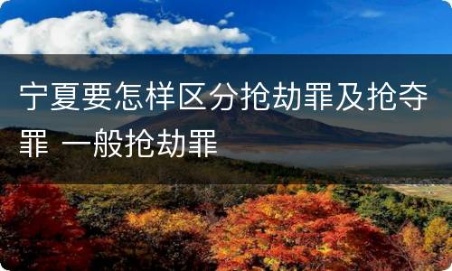 宁夏要怎样区分抢劫罪及抢夺罪 一般抢劫罪