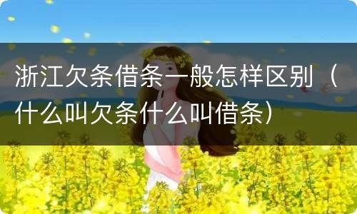 浙江欠条借条一般怎样区别（什么叫欠条什么叫借条）