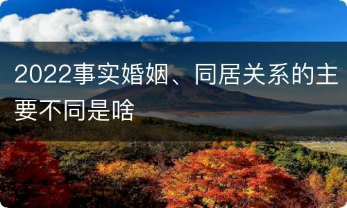 2022事实婚姻、同居关系的主要不同是啥