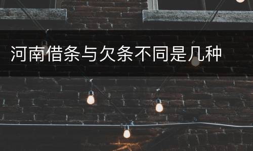 河南借条与欠条不同是几种