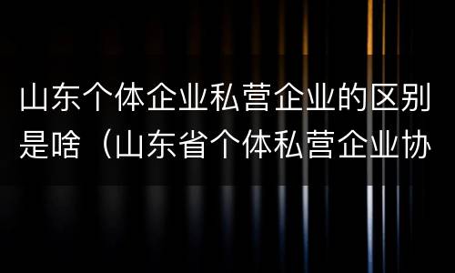 山东个体企业私营企业的区别是啥（山东省个体私营企业协会）