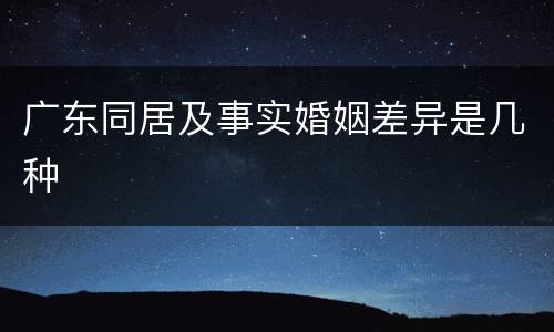 广东同居及事实婚姻差异是几种