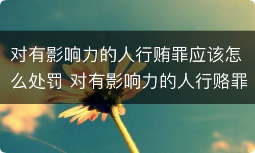 对有影响力的人行贿罪应该怎么处罚 对有影响力的人行赂罪数额