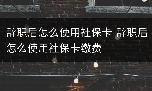 辞职后怎么使用社保卡 辞职后怎么使用社保卡缴费