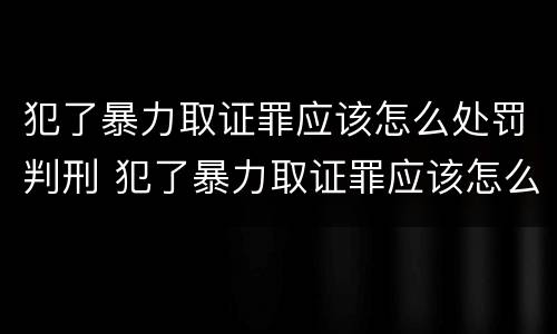 犯了暴力取证罪应该怎么处罚判刑 犯了暴力取证罪应该怎么处罚判刑的人