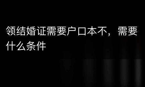 领结婚证需要户口本不，需要什么条件
