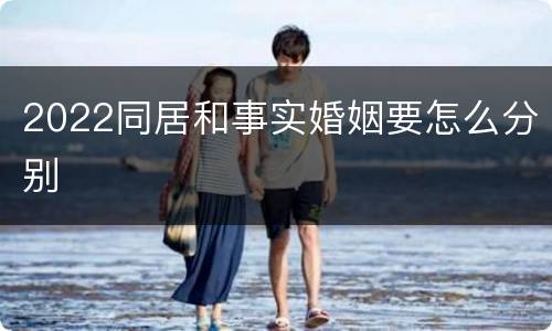 2022同居和事实婚姻要怎么分别