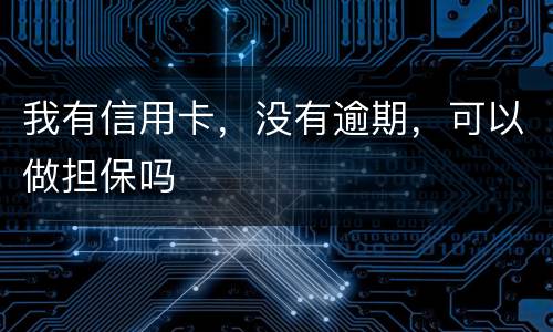 我有信用卡，没有逾期，可以做担保吗