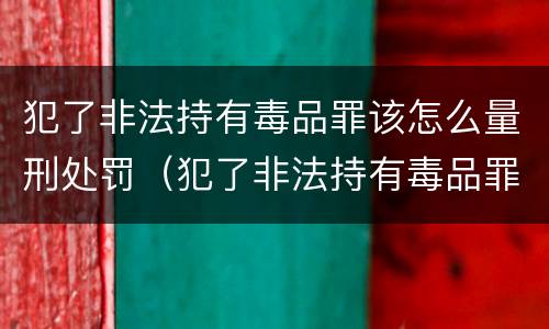 犯了非法持有毒品罪该怎么量刑处罚（犯了非法持有毒品罪该怎么量刑处罚多少钱）