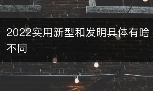 2022实用新型和发明具体有啥不同