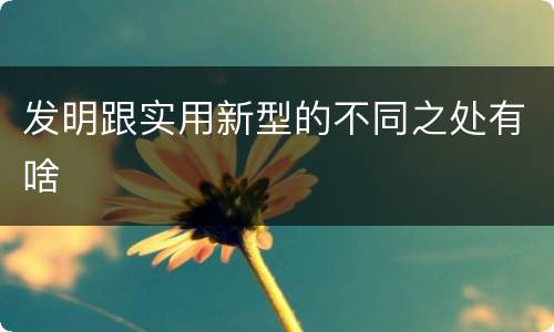 发明跟实用新型的不同之处有啥