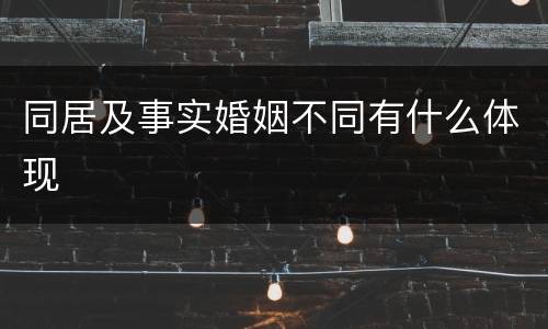 同居及事实婚姻不同有什么体现