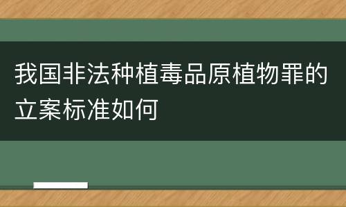 我国非法种植毒品原植物罪的立案标准如何