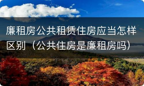 廉租房公共租赁住房应当怎样区别（公共住房是廉租房吗）