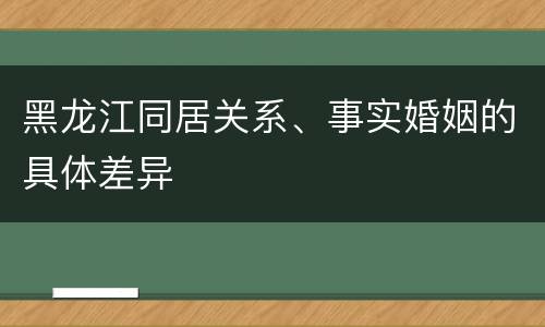 黑龙江同居关系、事实婚姻的具体差异