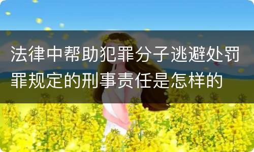 法律中帮助犯罪分子逃避处罚罪规定的刑事责任是怎样的