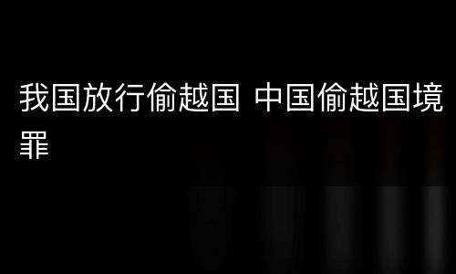 我国放行偷越国 中国偷越国境罪