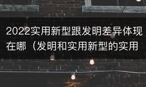 2022实用新型跟发明差异体现在哪（发明和实用新型的实用性）