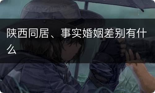 陕西同居、事实婚姻差别有什么