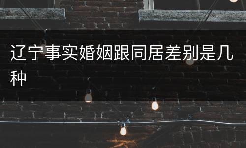 辽宁事实婚姻跟同居差别是几种