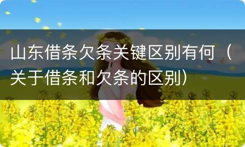 山东借条欠条关键区别有何（关于借条和欠条的区别）