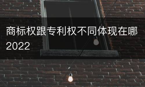 商标权跟专利权不同体现在哪2022