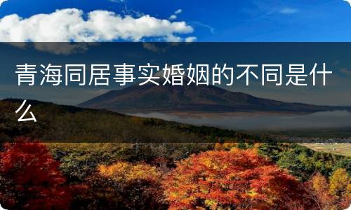 青海同居事实婚姻的不同是什么