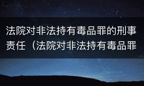法院对非法持有毒品罪的刑事责任（法院对非法持有毒品罪的刑事责任追究）