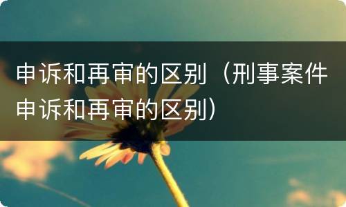 申诉和再审的区别（刑事案件申诉和再审的区别）