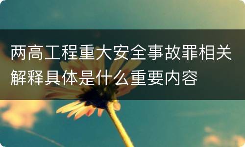 两高工程重大安全事故罪相关解释具体是什么重要内容